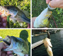Kit Iscas Artificiais Realistas Para Pesca - Compre 6 Leve 10